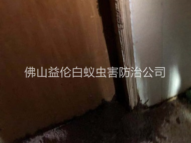 順德倉(cāng)庫(kù)蟻害防治