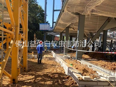高明新建白蟻預(yù)防工程