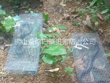 順德驅(qū)蛇防蛇工程