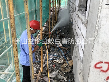 佛山建筑白蟻預(yù)防工程